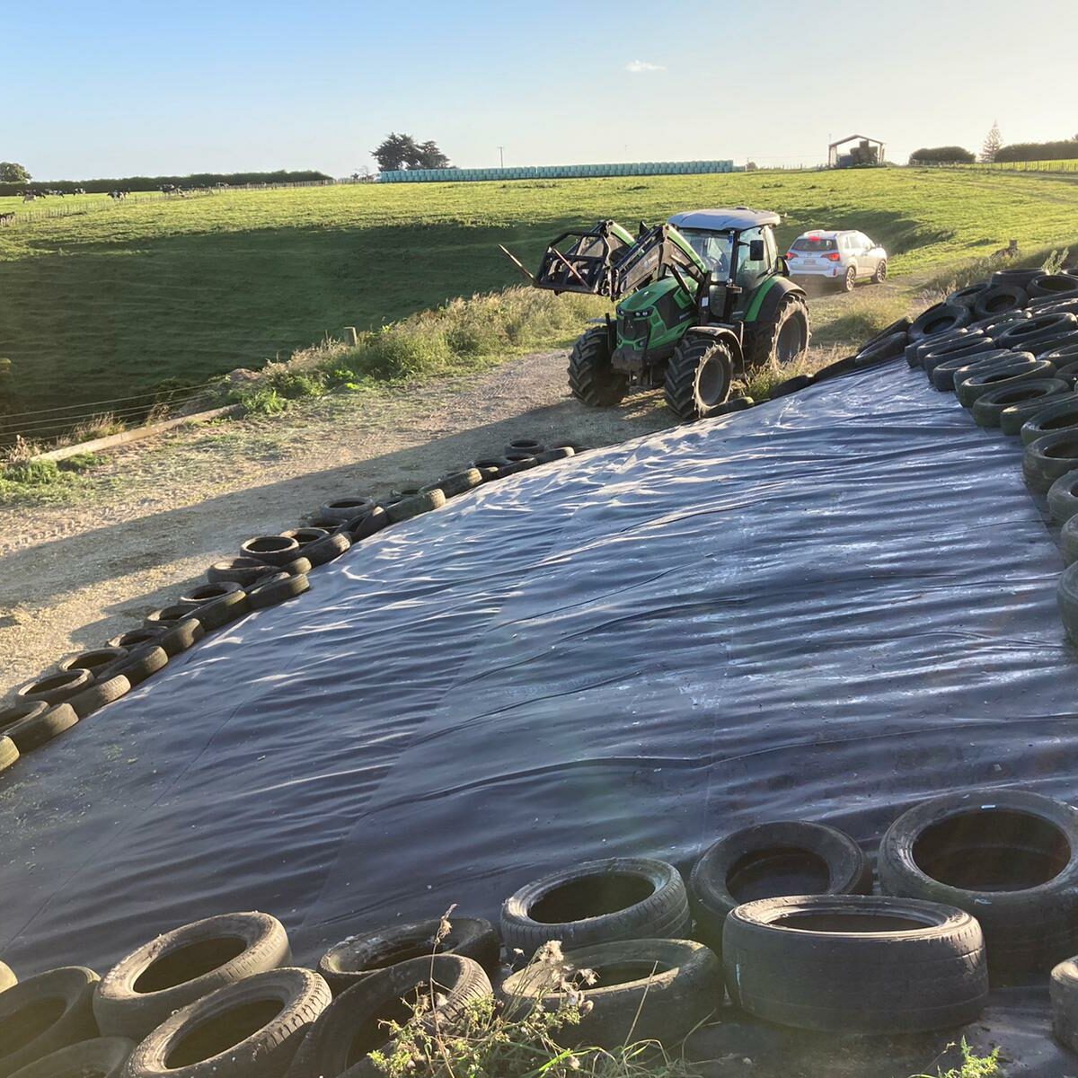 Silage covered with Geosmart EPDM